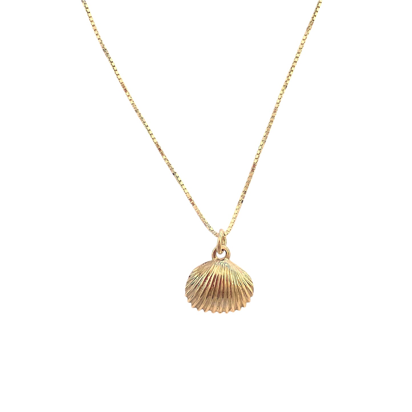 Collana Conchiglia