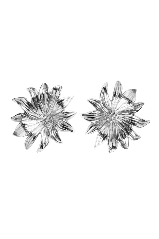 Orecchini Stella Alpina