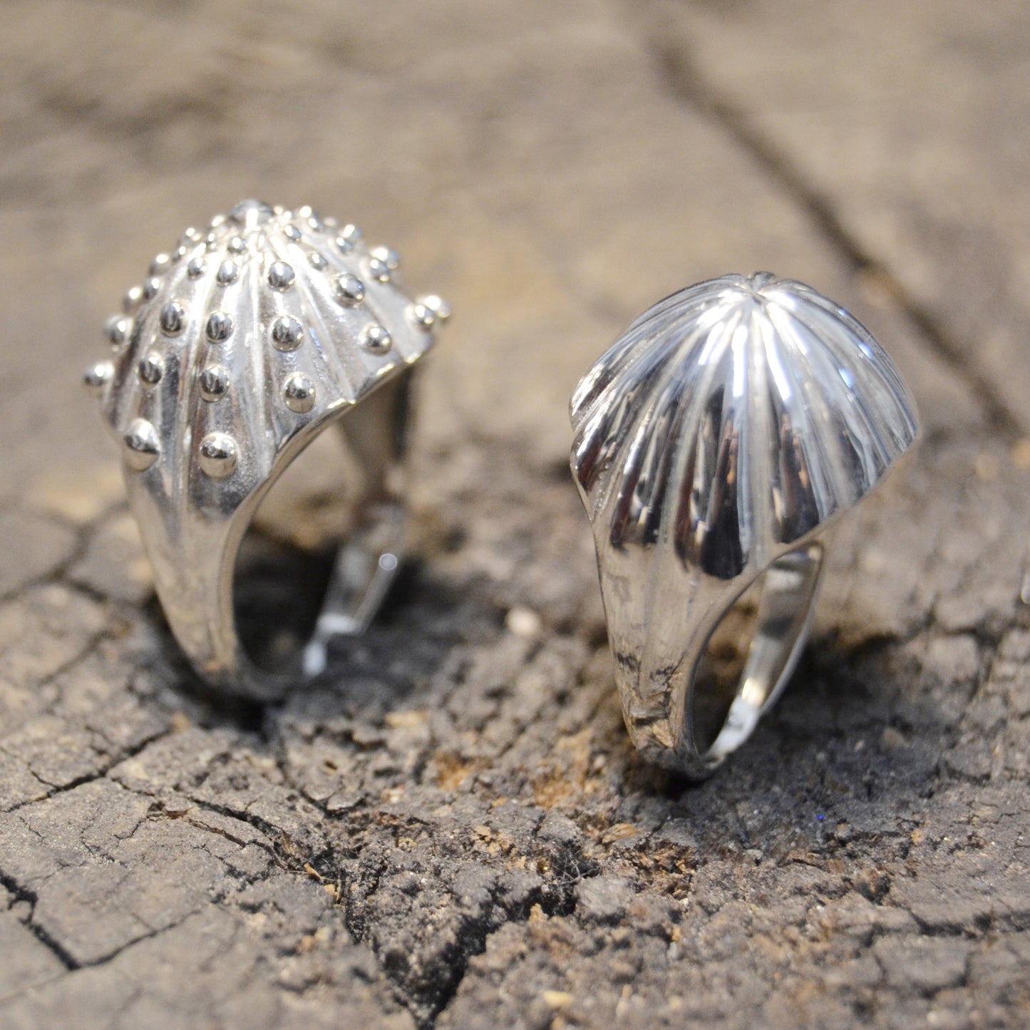 Anello CACTUS DELLA SCIURA
