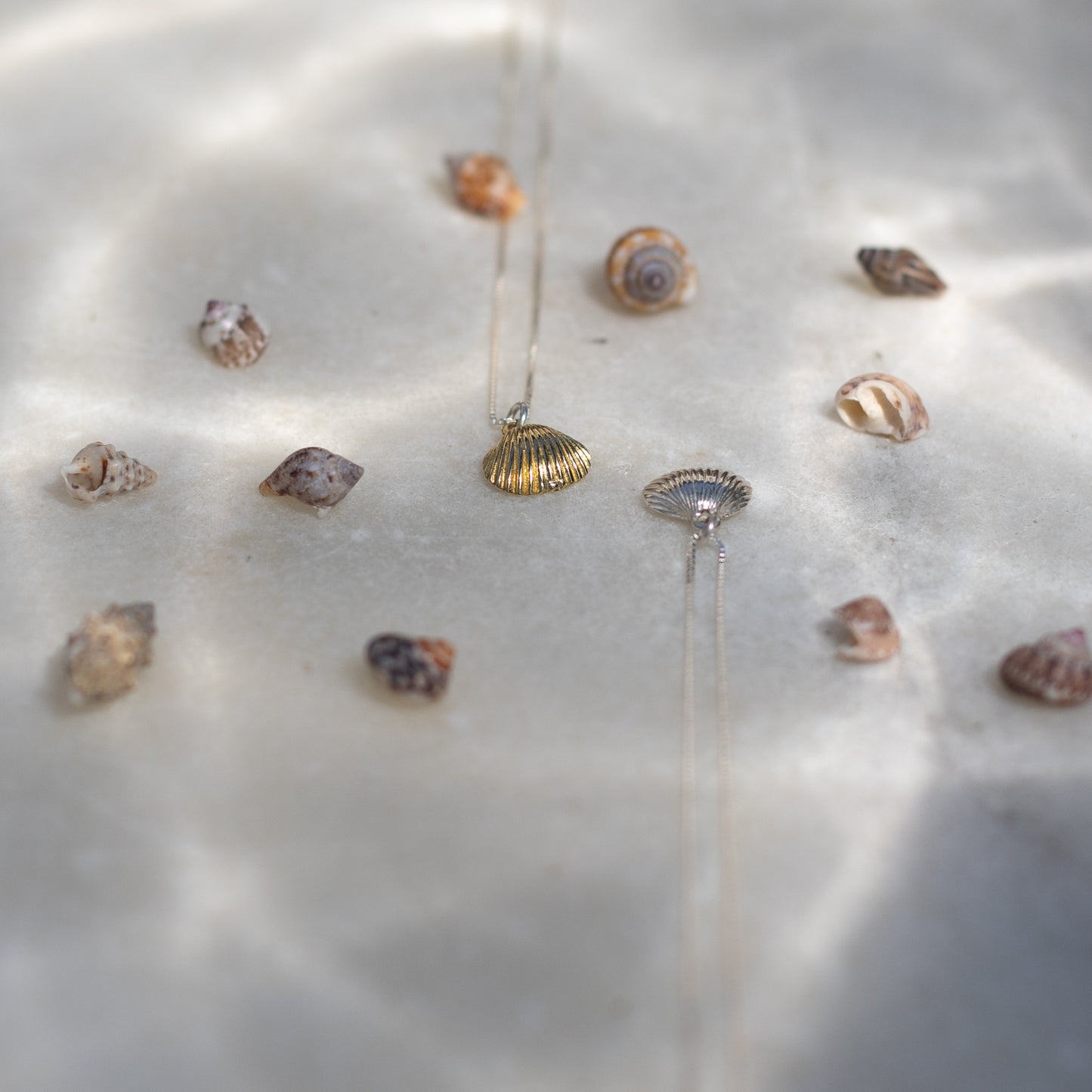 Collana Conchiglia