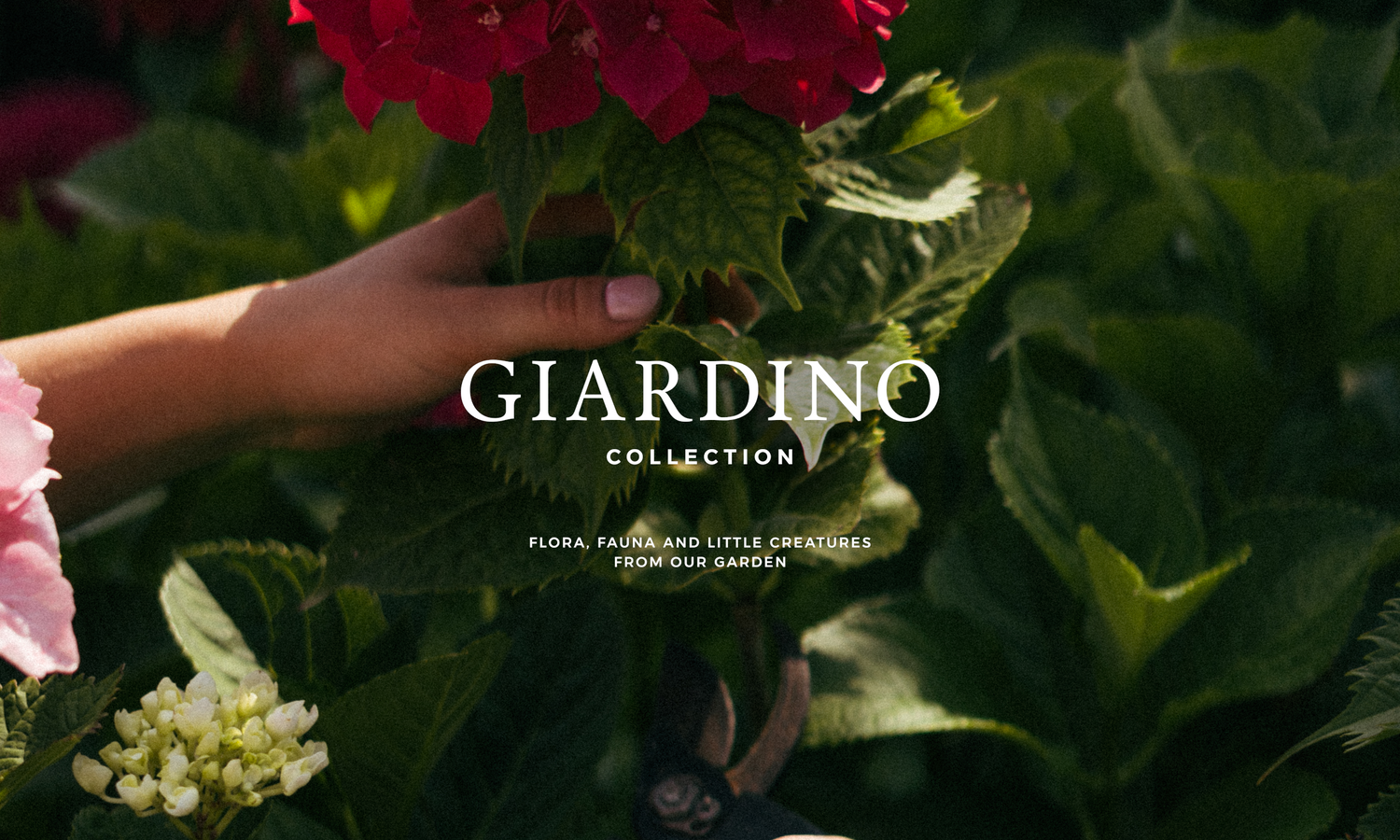 Giardino