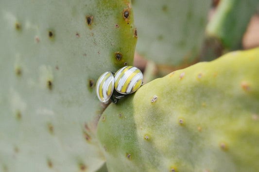Orecchini Bold Cabana SORRENTO
